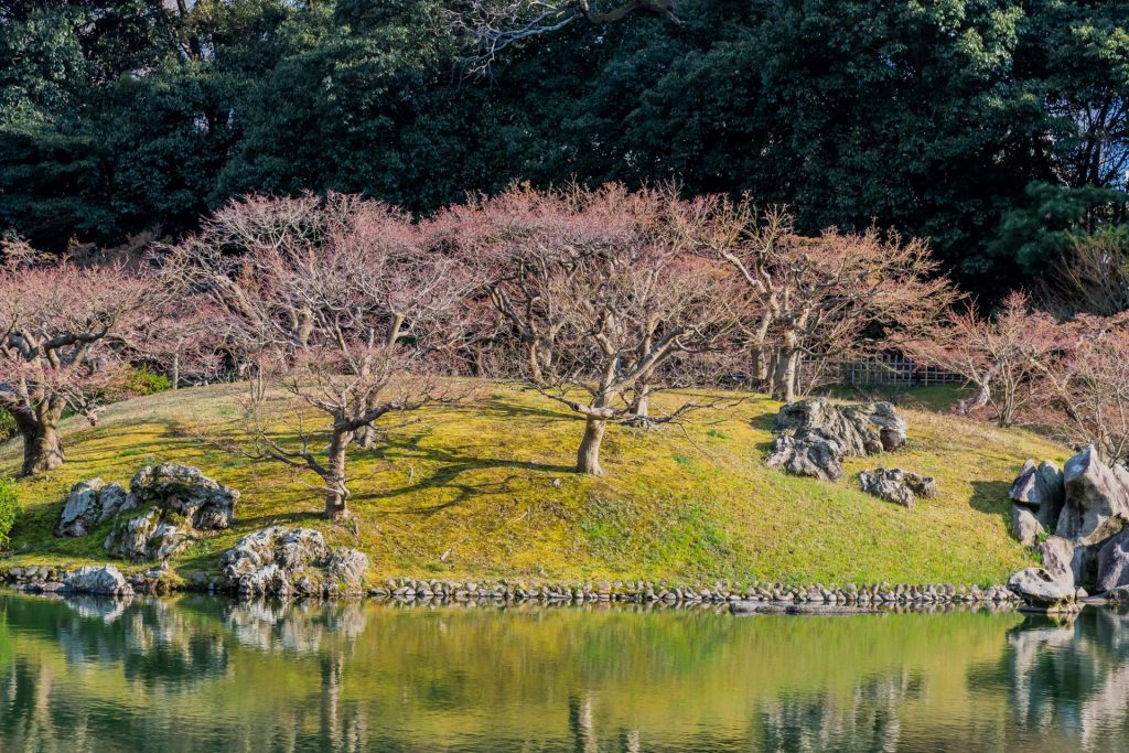 Teichinsel im Ritsurin Park auf Shikoku