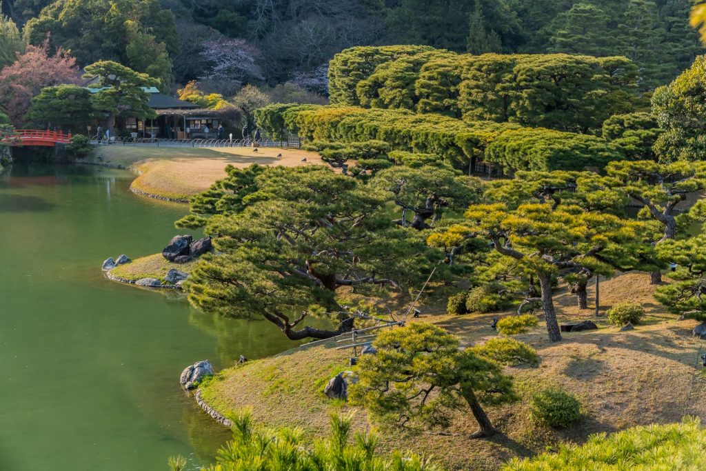 Shikoku - Japans kleinste Hauptinsel Baumpracht im Ritsurin Park auf Shikoku
