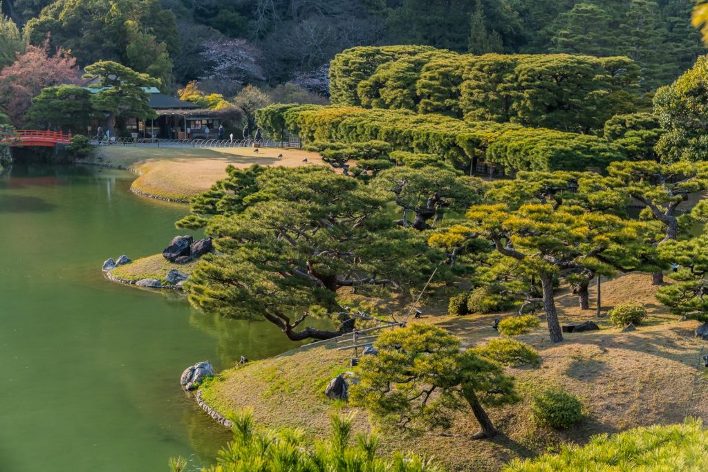 Baumpracht im Ritsurin Park auf Shikoku