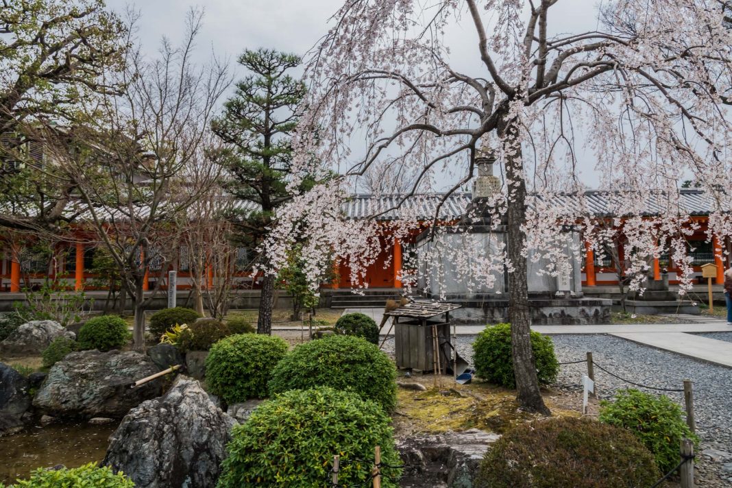 Garten des Sanjusangen-do in Kyoto