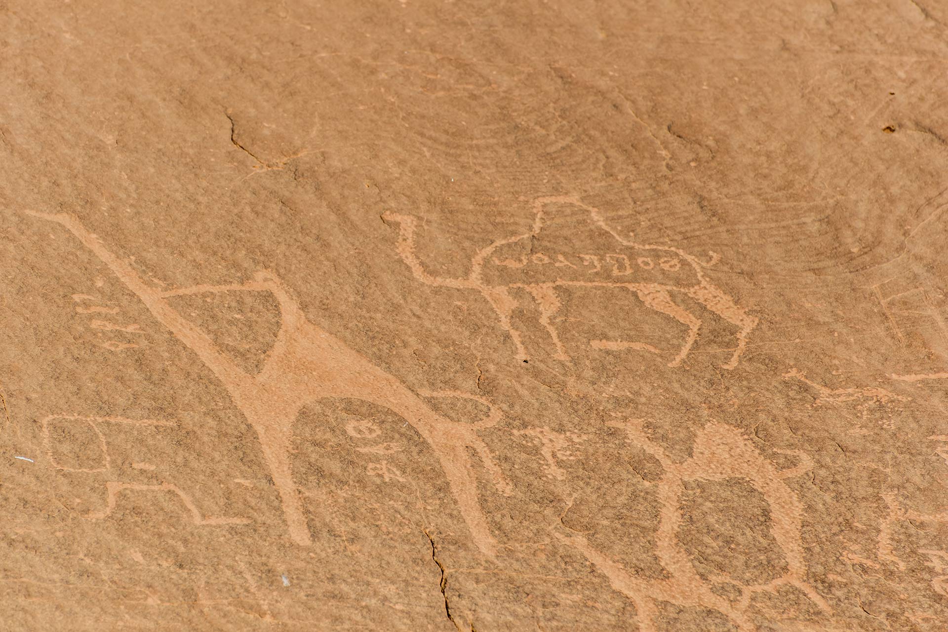 Alameleh Petroglyphen