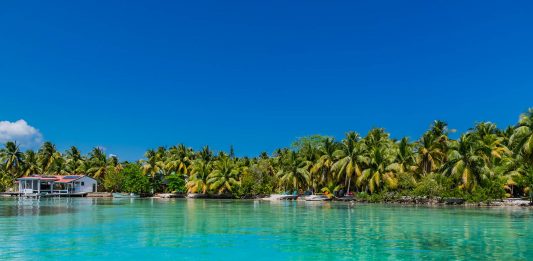 Küste von Southwater Caye am Pelican Beach Resort in Belize