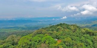 Äquatorialguinea – Informationen, Klima, Geschichte, Nationalhyme, Flagge Äquatorialguinea, Afrika