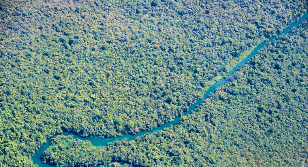 Der Regenwald in Belize