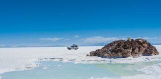 Salar de Uyuni II/Bolivien Inseln im Salar de Uyuni