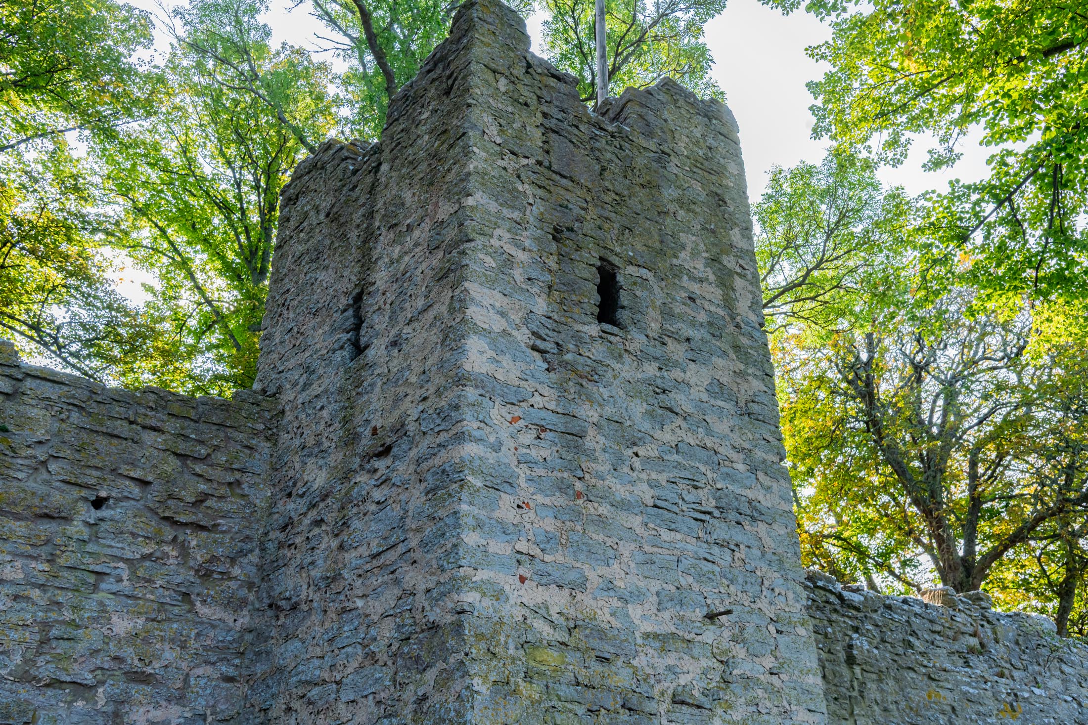 Stadtmauer von Visby auf Gotland Jungfrutornet in der Stadtmauer vonVisby