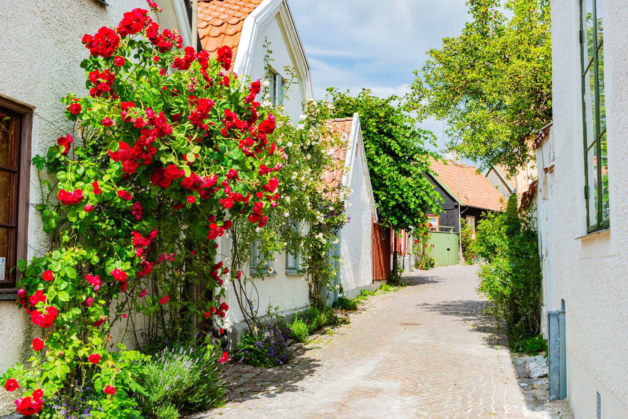 Schweden Geschichte Nationalhymne Flagge Klima