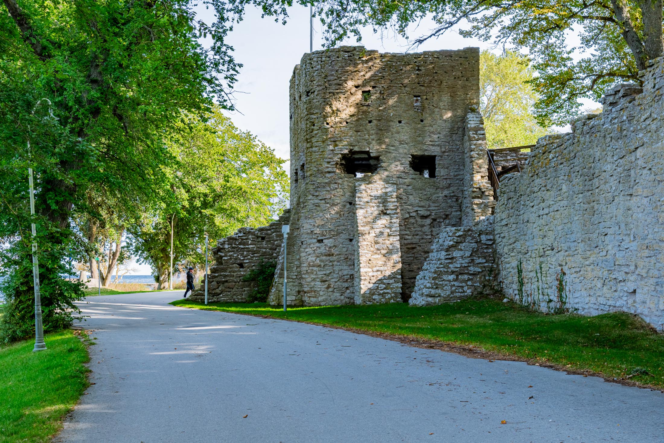 Stadtmauer von Visby auf Gotland Silverhättan Kames in der Stadtmauer von Visby auf Gotland
