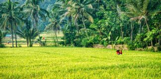 Geografie Kambodschas, Klima und Natur Geografie Kambodscha