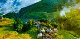 Vietnam – Geschichte, Kultur, Geografie und Gegenwart Vietnam als Reiseziel