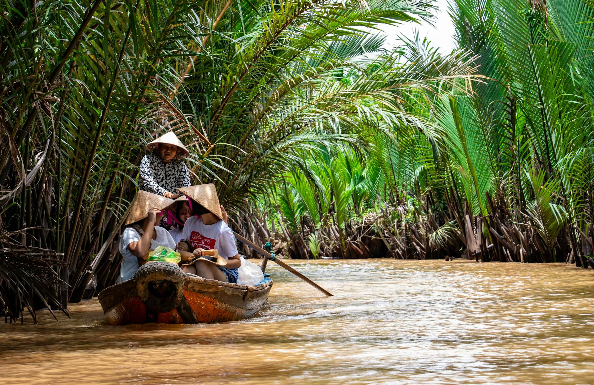 Flora Vietnams – Vegetationszonen und Pflanzenvielfalt Wasserpalmen-eine-wichtiger Teil der Flora im Mekongdelta
